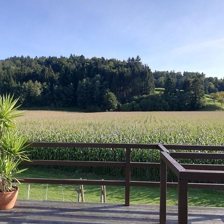 Ferienhaus Am Bach Kirchberg an der Raab المظهر الخارجي الصورة