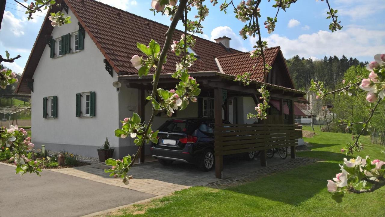 Ferienhaus Am Bach Kirchberg an der Raab المظهر الخارجي الصورة