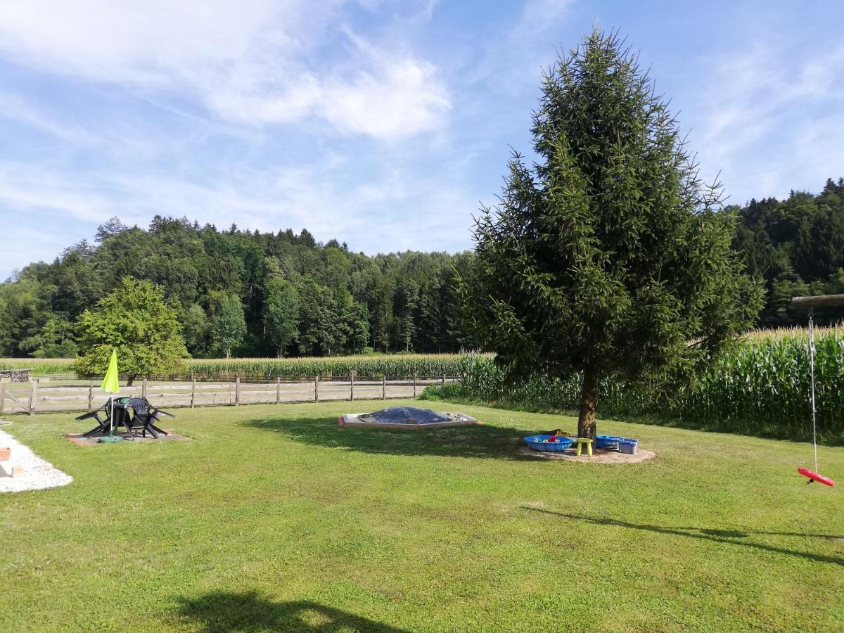 Ferienhaus Am Bach Kirchberg an der Raab المظهر الخارجي الصورة